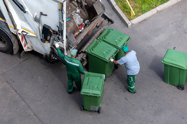 Basement Cleanout Services in Pine Canyon, CA